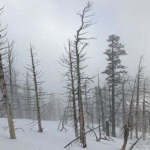 Meet your Posher, Nicholas